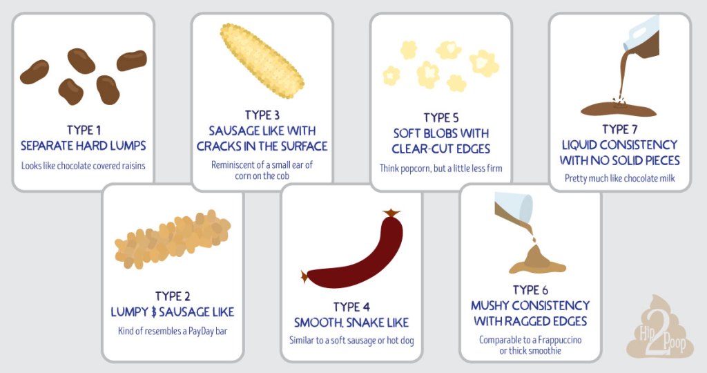 Bristol stool chart type 6