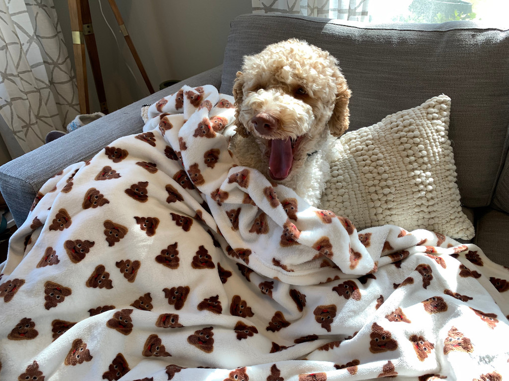 Yoli with Poop Emoji Blanket 